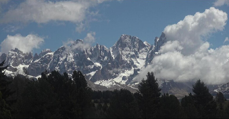 Webcam Bellamonte-Alpe Lusia  - Palagruppe