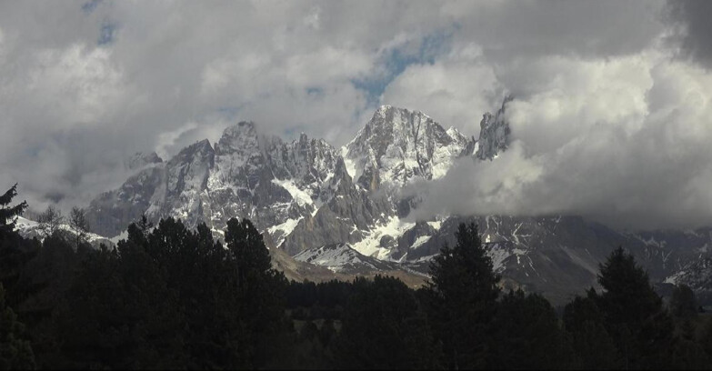 Webcam Bellamonte-Alpe Lusia  - Palagruppe