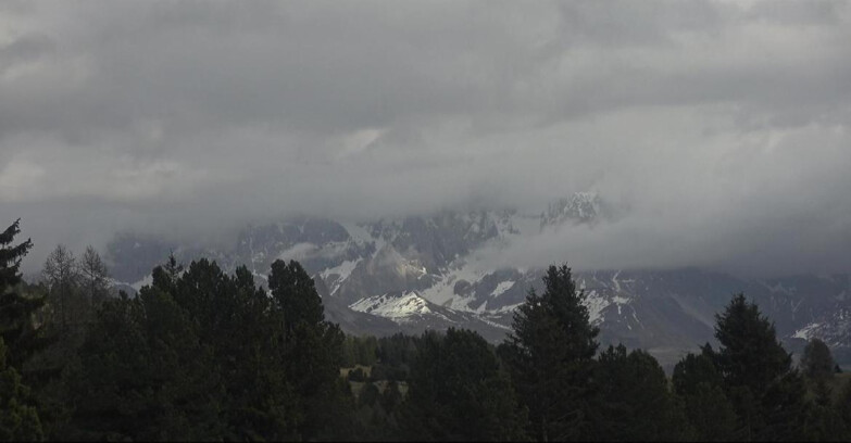 Webcam Bellamonte-Alpe Lusia  - Palagruppe
