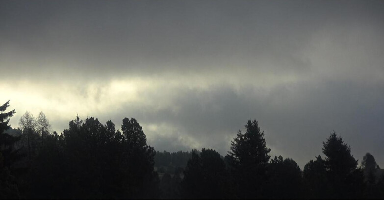 Webcam Bellamonte-Alpe Lusia  - Palagruppe