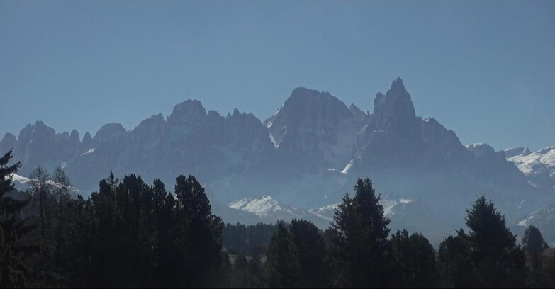 Webcam Bellamonte-Alpe Lusia - Pale di San Martino