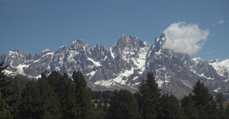 Webcam Bellamonte-Alpe Lusia - Pale di San Martino