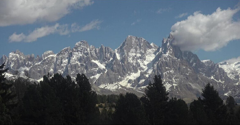Webcam Bellamonte-Alpe Lusia - Pale di San Martino