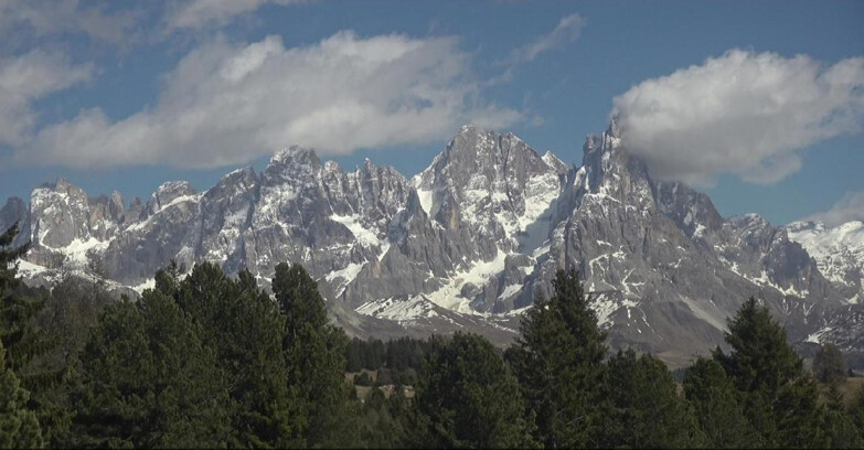 Webcam Bellamonte-Alpe Lusia - Pale di San Martino