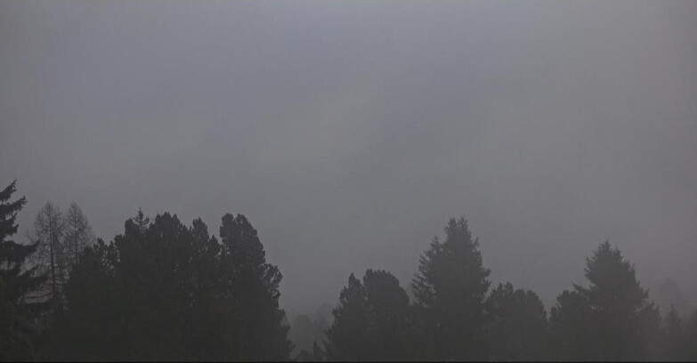 Webcam Bellamonte-Alpe Lusia - Pale di San Martino