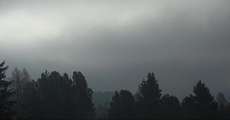 Webcam Bellamonte-Alpe Lusia - Pale di San Martino