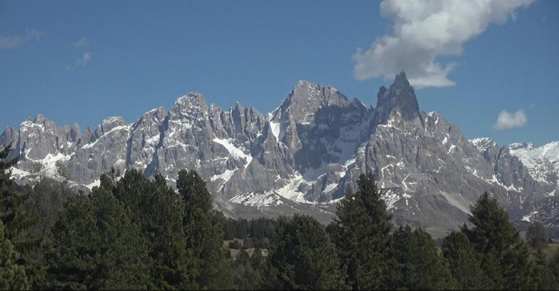 Webcam Bellamonte-Alpe Lusia - Pale di San Martino