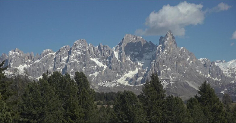 Webcam Bellamonte-Alpe Lusia - Pale di San Martino