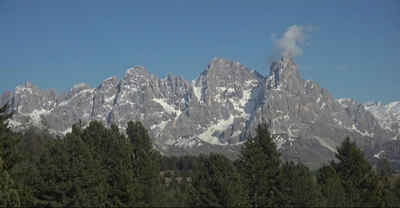 Webcam Bellamonte-Alpe Lusia - Pale di San Martino