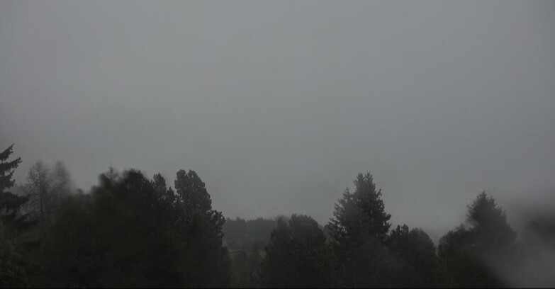 Webcam Bellamonte-Alpe Lusia  - Pale di San Martino