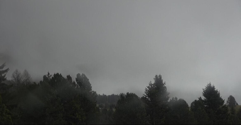 Webcam Bellamonte-Alpe Lusia  - Pale di San Martino