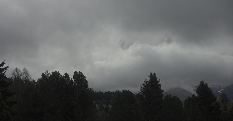 Webcam Bellamonte-Alpe Lusia  - Pale di San Martino