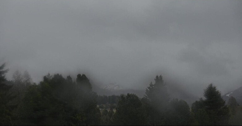 Webcam Bellamonte-Alpe Lusia  - Pale di San Martino