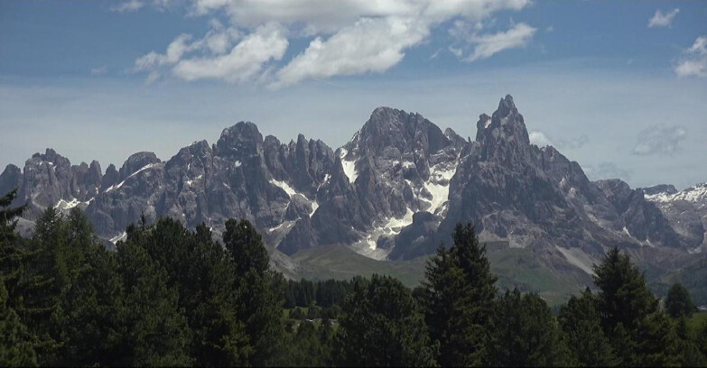Webcam Bellamonte-Alpe Lusia - Pale di San Martino