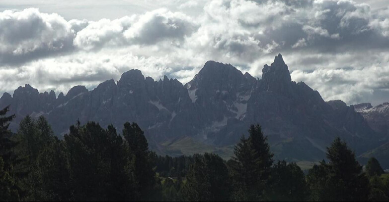 Webcam Bellamonte-Alpe Lusia - Pale di San Martino