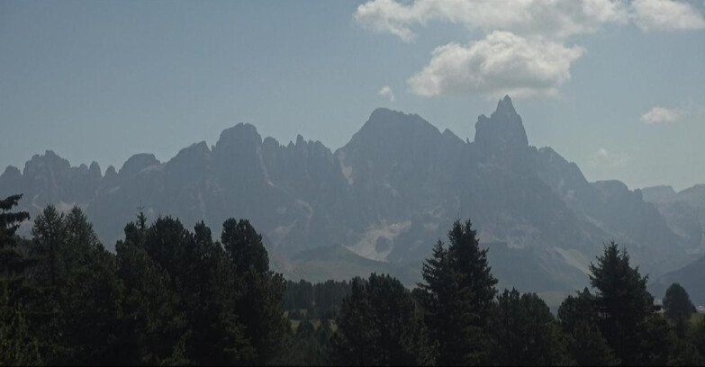 Webcam Bellamonte-Alpe Lusia - Pale di San Martino