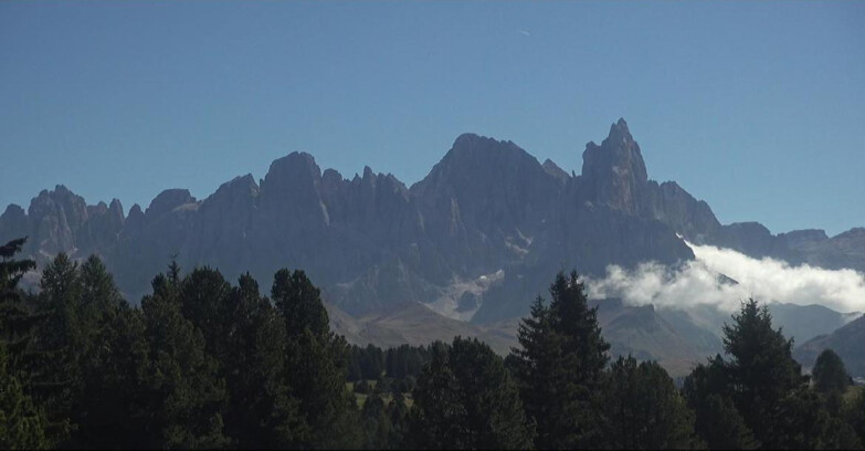 Webcam Bellamonte-Alpe Lusia  - Pale di San Martino