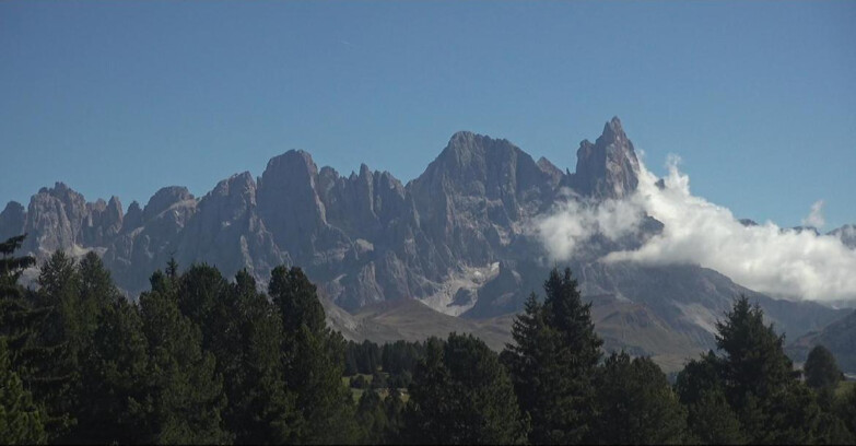 Webcam Bellamonte-Alpe Lusia  - Pale di San Martino