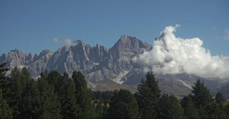 Webcam Bellamonte-Alpe Lusia  - Pale di San Martino