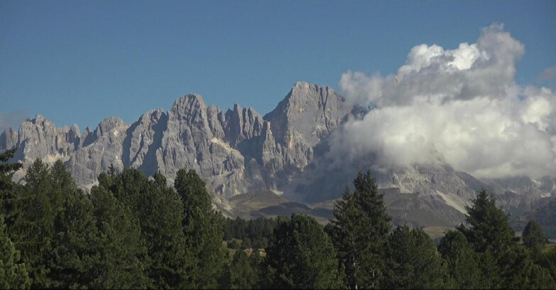 Webcam Bellamonte-Alpe Lusia  - Pale di San Martino
