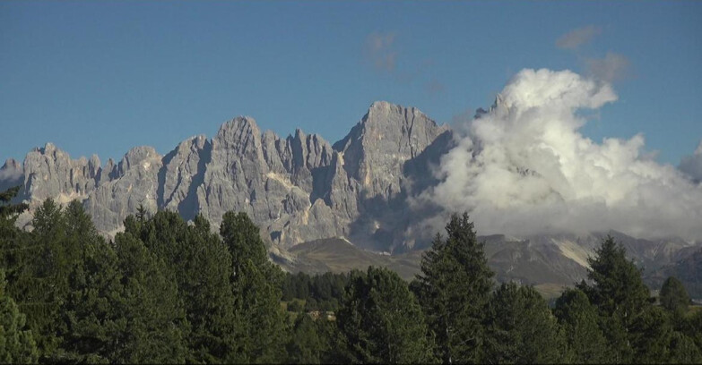 Webcam Bellamonte-Alpe Lusia  - Pale di San Martino