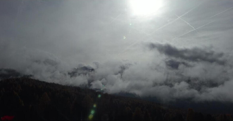 Webcam Bellamonte-Alpe Lusia - Lagorai