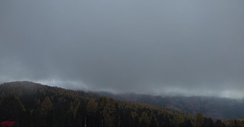 Webcam Bellamonte-Alpe Lusia - Lagorai