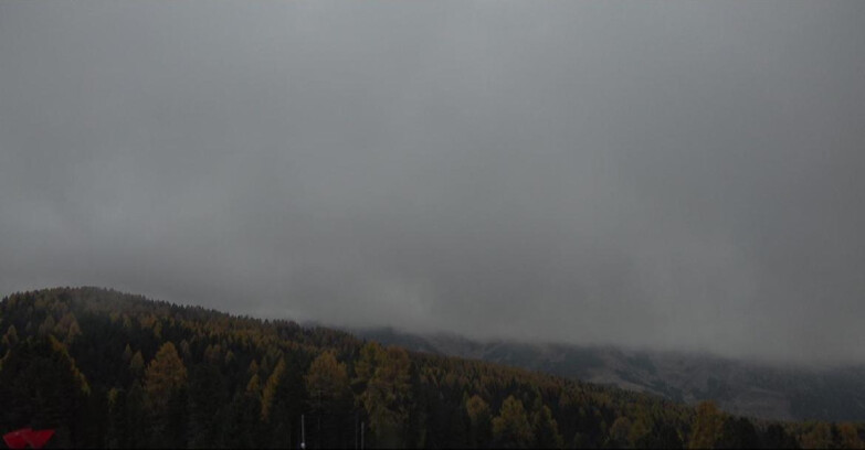 Webcam Bellamonte-Alpe Lusia - Lagorai