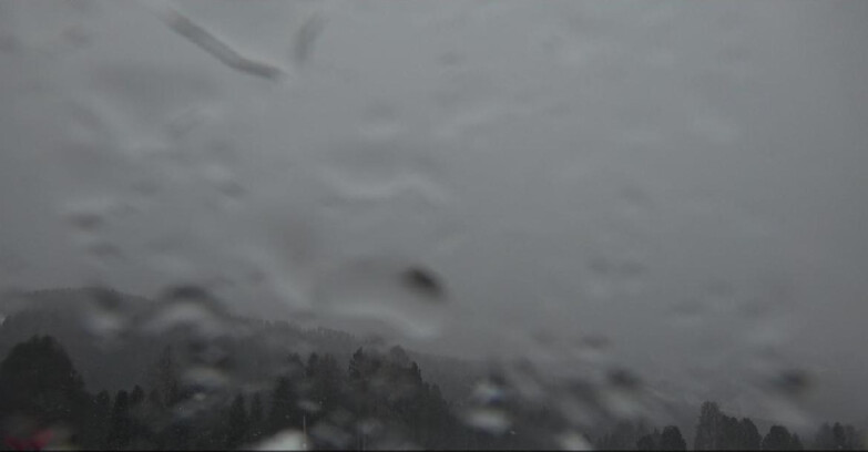 Webcam Bellamonte-Alpe Lusia  - Lagorai