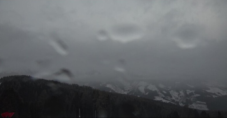 Webcam Bellamonte-Alpe Lusia  - Lagorai