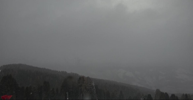 Webcam Bellamonte-Alpe Lusia - Catena del Lagorai