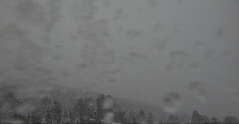 Webcam Bellamonte-Alpe Lusia  - Lagorai