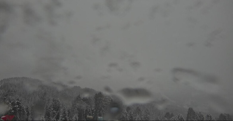 Webcam Bellamonte-Alpe Lusia  - Lagorai