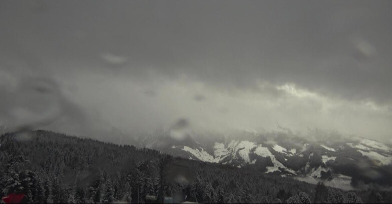 Webcam Bellamonte-Alpe Lusia  - Lagorai