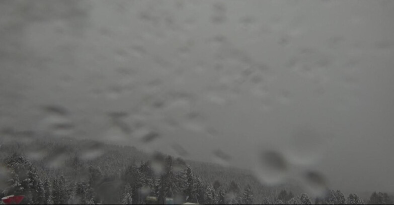 Webcam Bellamonte-Alpe Lusia  - Lagorai