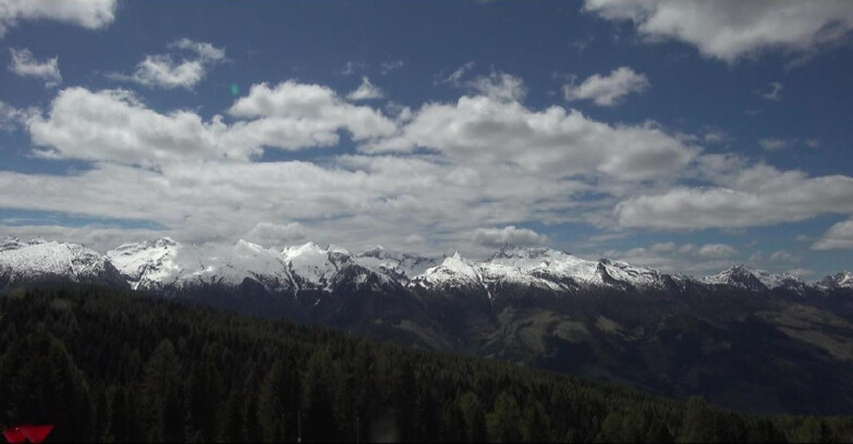 Webcam Bellamonte-Alpe Lusia - Lagorai
