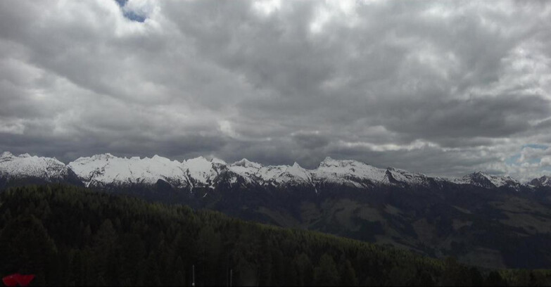 Webcam Bellamonte-Alpe Lusia - Lagorai