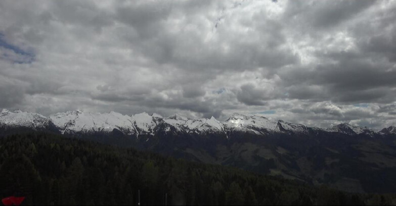Webcam Bellamonte-Alpe Lusia - Lagorai