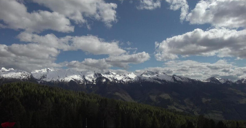 Webcam Bellamonte-Alpe Lusia - Lagorai