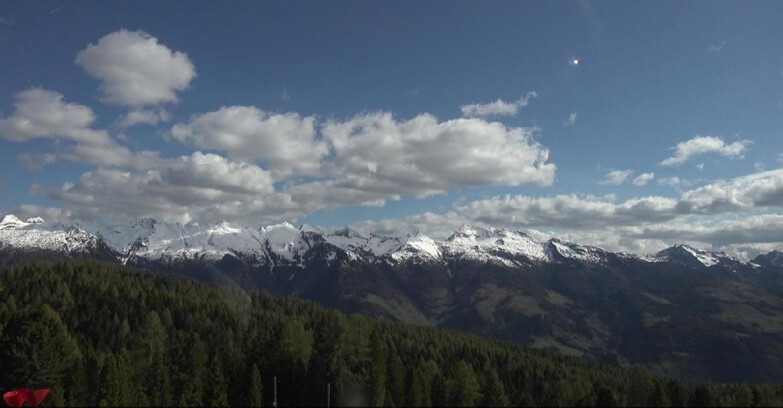 Webcam Bellamonte-Alpe Lusia - Lagorai