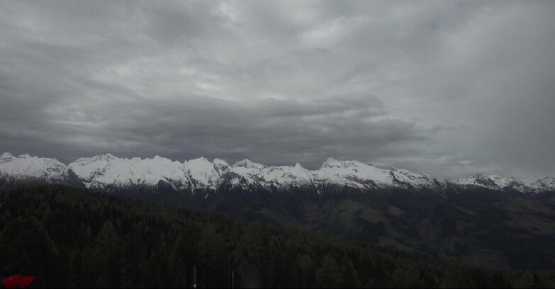 Webcam Bellamonte-Alpe Lusia - Lagorai