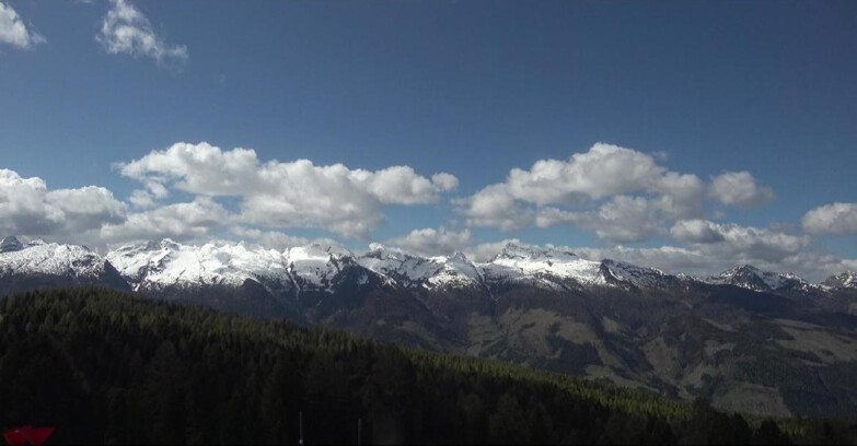 Webcam Bellamonte-Alpe Lusia  - Lagorai