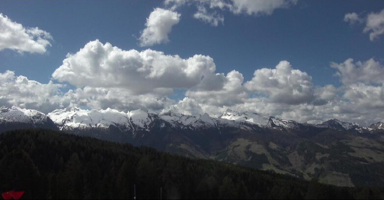 Webcam Bellamonte-Alpe Lusia  - Lagorai