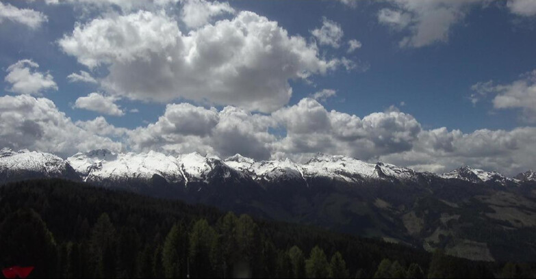 Webcam Bellamonte-Alpe Lusia  - Lagorai