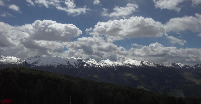 Webcam Bellamonte-Alpe Lusia  - Lagorai