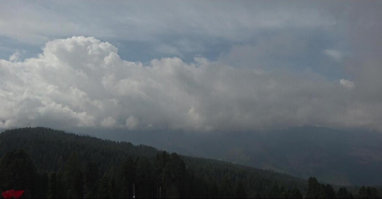 Webcam Bellamonte-Alpe Lusia  - Lagorai