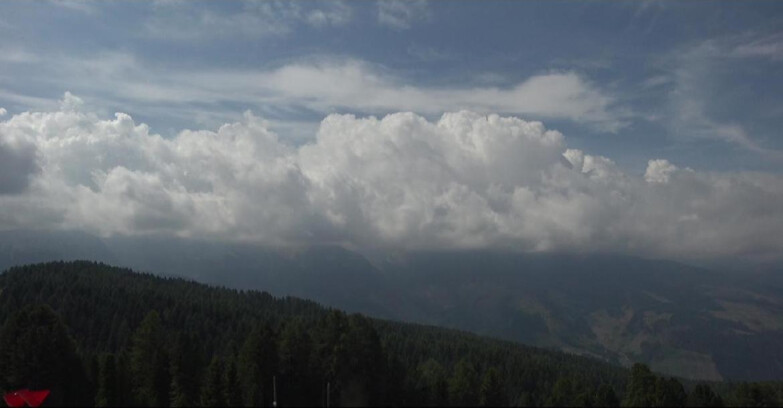 Webcam Bellamonte-Alpe Lusia  - Lagorai
