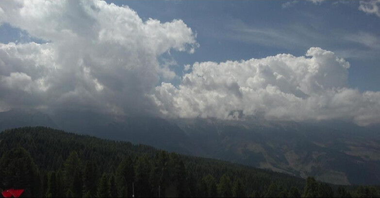 Webcam Bellamonte-Alpe Lusia  - Lagorai