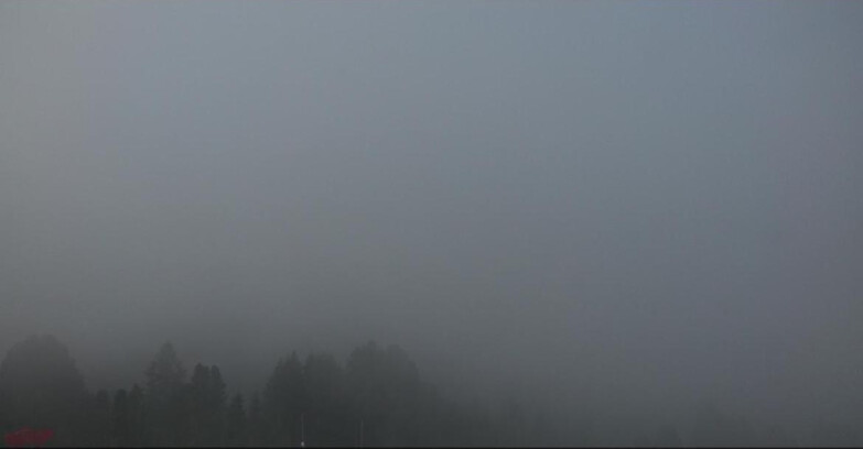 Webcam Bellamonte-Alpe Lusia  - Lagorai