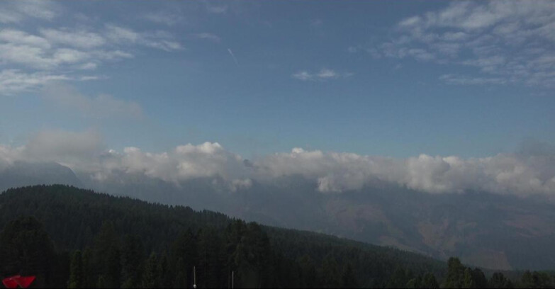 Webcam Bellamonte-Alpe Lusia  - Lagorai